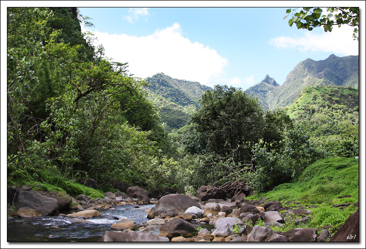 40D11146 cs cadre2.jpg - Tahiti - Vallée de la Papenoo